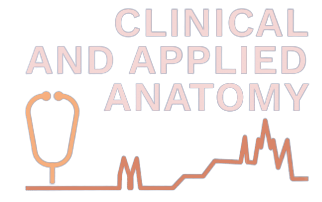 Clinical and applied anatomy